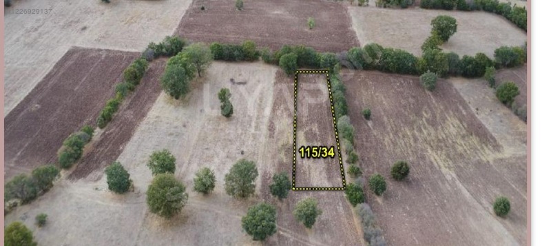 KÜTAHYA TAVŞANLI KARACAKAŞ KÖYÜNDE  1.365 M²  TARLA SATILIKTIR - KÜTAHYA TAVŞANLI fotoğraf 4