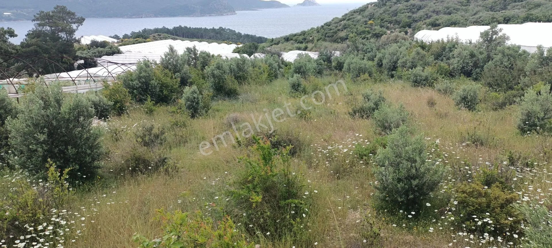 Kumluca Yenicepınar Da Deniz Manzaralı Satılık Arsa-tarla - ANTALYA KUMLUCA fotoğraf 25