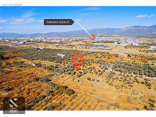 Kemalpaşa Sekiz Eylül Merkeze Yakın Satılık 3440 m2 Zeytinlik - İZMİR KEMALPAŞA fotoğraf 33