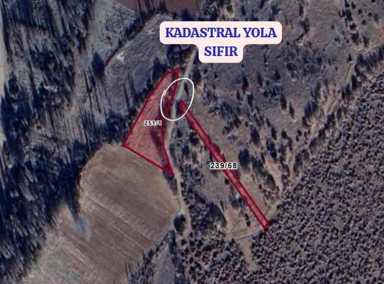 KONYA ÇUMRA AFŞAR   KÖYÜNDE  445  M²  TARLA  SATILIKTIR - KONYA ÇUMRA fotoğraf 3