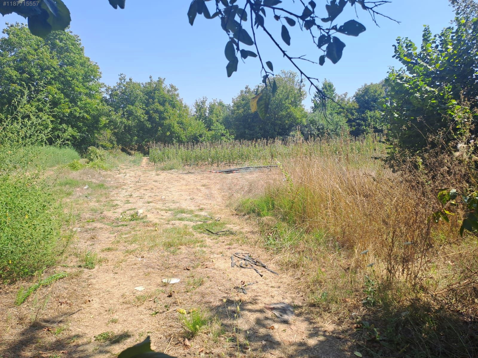 BURSA KESTEL KOZLUÖREN KÖYÜNDE  BAHÇENİN 2.700 M² Sİ SATILIKTIR. - BURSA KESTEL fotoğraf 9