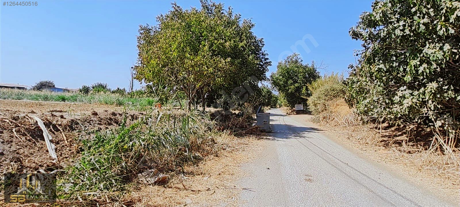 SB EMLAK OFİSİNDEN KİRELİ MAH. YATIRIMLIK FIRSAT VERİMLİ TARLA - İZMİR TİRE fotoğraf 11