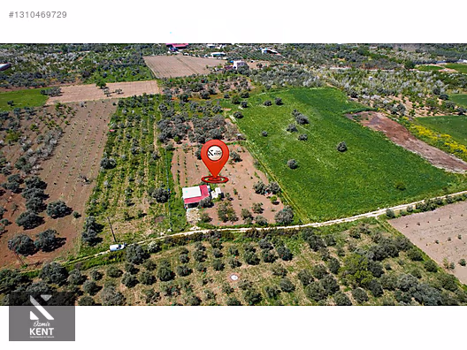 Kemalpaşa Halilbeylide Satılık 3000 m2 Bahçe 40 m2 Ev - İZMİR KEMALPAŞA fotoğraf 18
