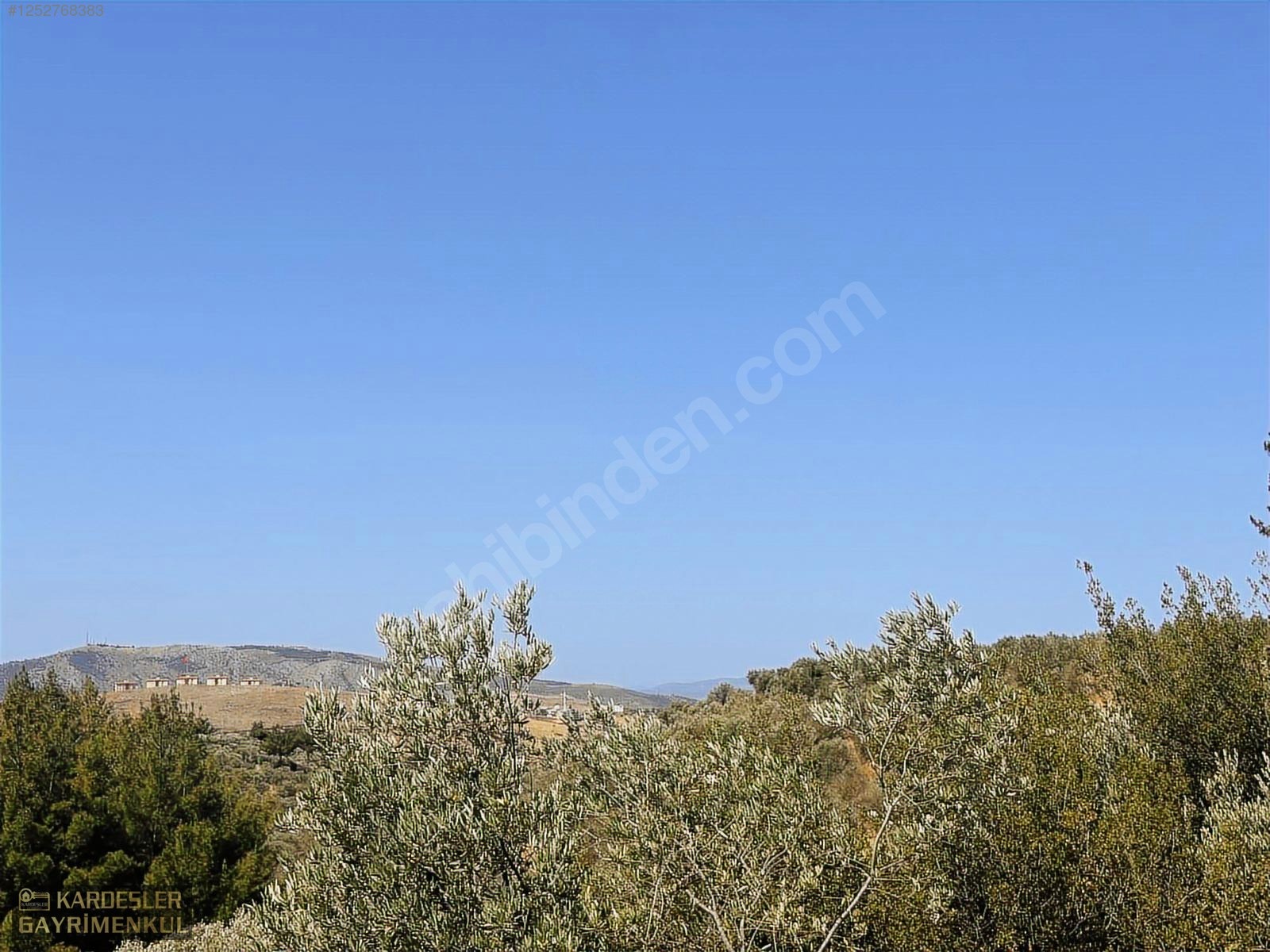 SATILIK CUMHURİYET MAHALLESİNDE TEK TAPU 4.489m2 ZEYTİNLİK - MANİSA AKHİSAR fotoğraf 9