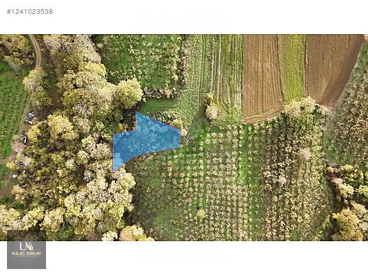Kandıra Üğümce'de Satılık Fındıklık - KOCAELİ KANDIRA fotoğraf 18