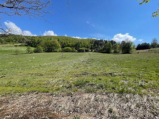 BURSA İZNİK CANDARLI'DA 6.517 M²  TARLA  SATILIKTIR. - BURSA İZNİK fotoğraf 5