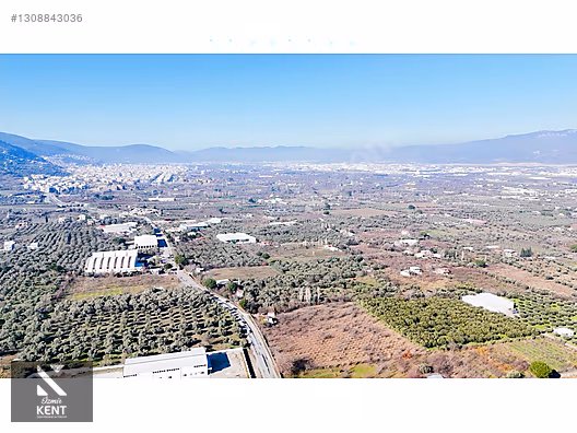 Kemalpaşa M.Akif Ersoy Satılık 7.250 m2 Bahçe Tek Tapu - İZMİR KEMALPAŞA fotoğraf 35