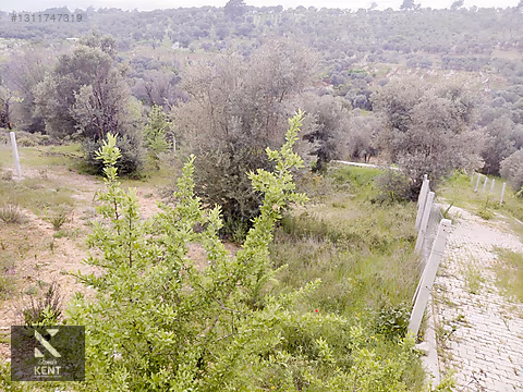 Kemalpaşa Yenmiş'de Satılık Bahçe 406 m2 - İZMİR KEMALPAŞA fotoğraf 14