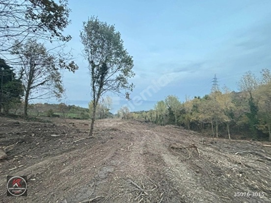 KARAMÜRSEL DEREKÖY’DE 19.309 M² KONUT ALANLI, TARIMSAL KULLANIMA UYGUN YATIRIM A - KOCAELİ KARAMÜRSEL fotoğraf 9