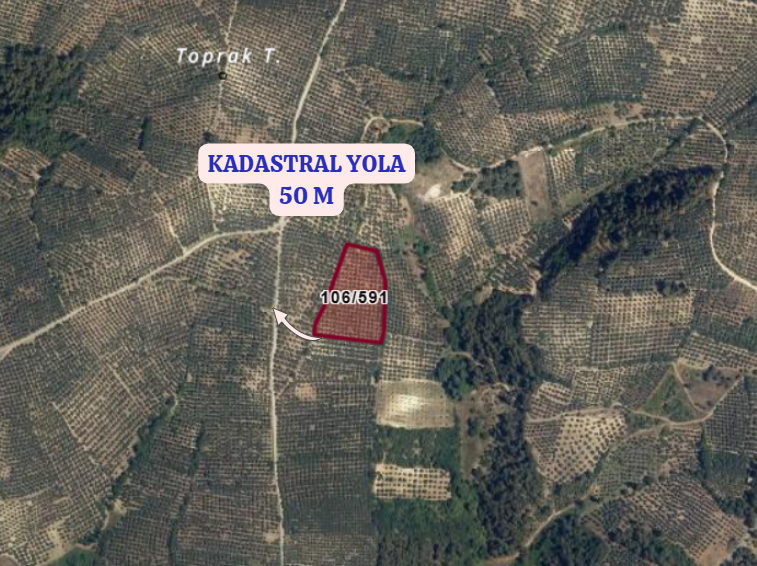 BURSA MUDANYA DEREKÖY   KÖYÜNDE 8.768 M² ZEYTİNLİK SATILIKTIR. - BURSA MUDANYA fotoğraf 3