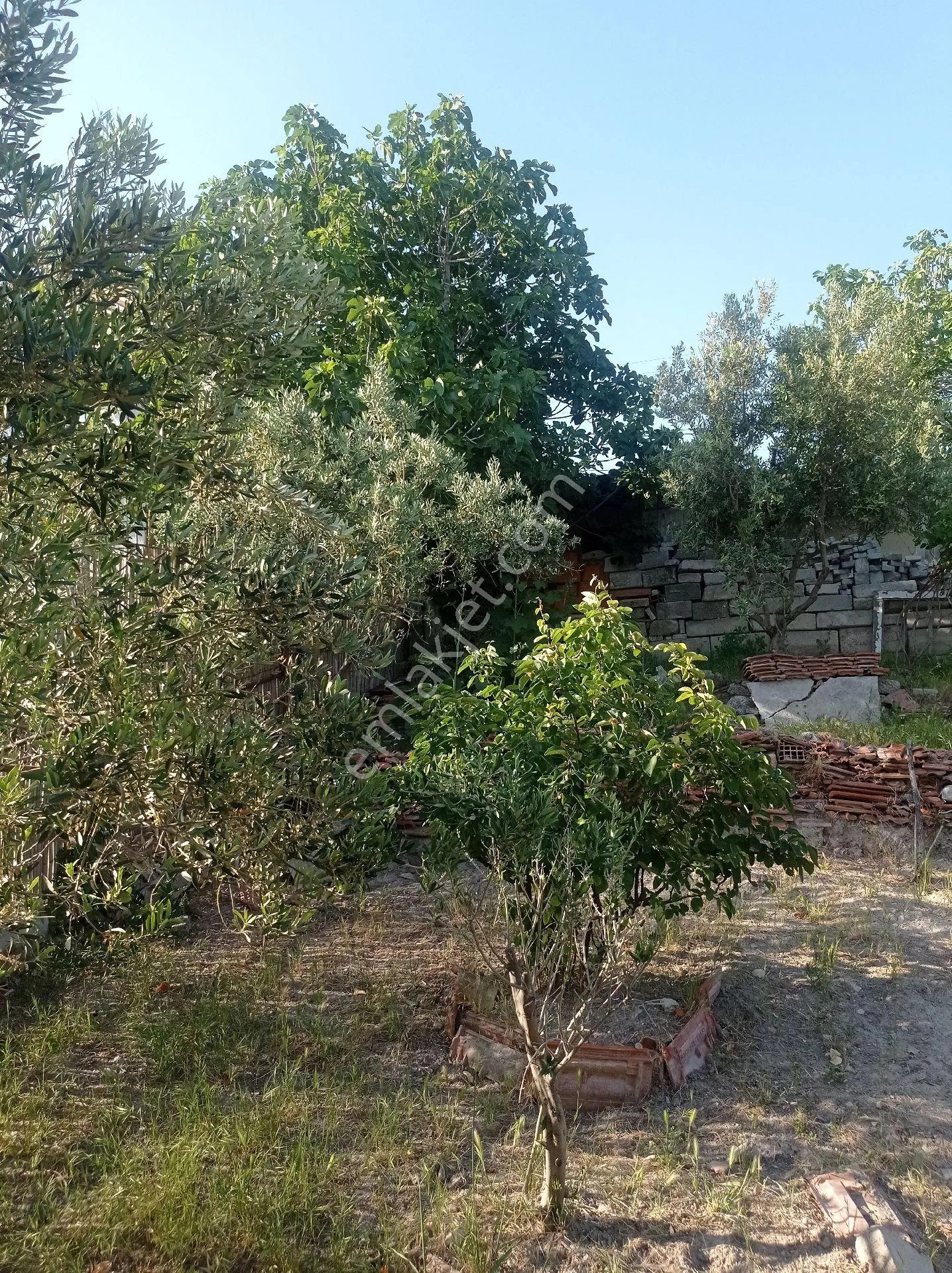Yeliz'den Manisa Soma'da Satılık Müstakil Ev - MANİSA SOMA fotoğraf 11