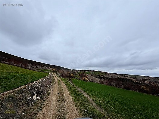 SAMSUN VEZİRKÖPRÜ ÇAMLIDERE'DE 6.670 M2 UYGUN ARSA - SAMSUN VEZİRKÖPRÜ fotoğraf 10