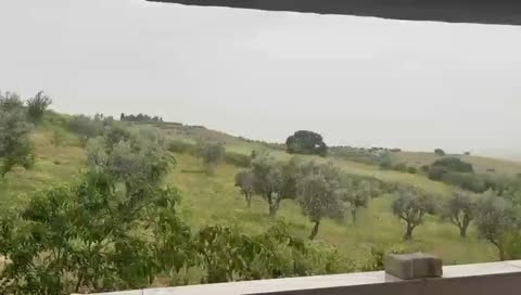 BURSA KARACABEY KARAKOCA KÖYÜNDE 2.000  M² TARLA SATILIKTIR - BURSA KARACABEY fotoğraf 11