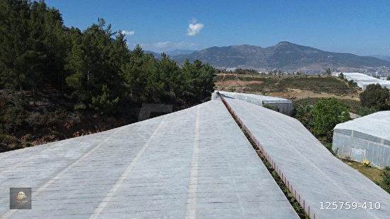 ANAMUR ÖREN ORTAKÖY'DE MÜSTAKİL YOL KENARI SATILIK SERA - MERSİN ANAMUR fotoğraf 2