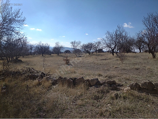   Karaman / Merkez / Kisecik Köyü 1,154M² TARLAMIZ SATILIKTIR.   - KARAMAN MERKEZ fotoğraf 9