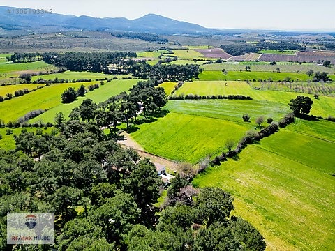 Çanakkale Bayramiç Kutluoba Satılık Tarla - ÇANAKKALE BAYRAMİÇ fotoğraf 9