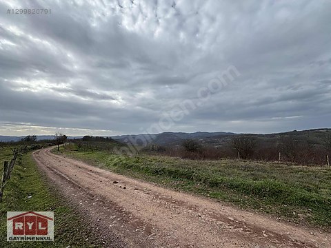 KANDIRA SARICAALİDE SATILIK KELEPİR TARLA - KOCAELİ KANDIRA fotoğraf 2