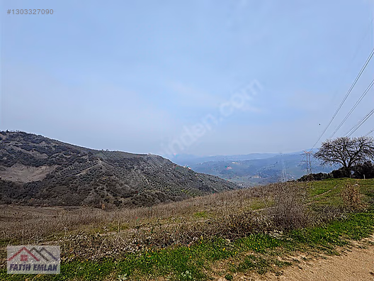 GEMLİK MURATOBA KÖYÜNDE 4695m² SATILIK ZEYTİNLİK - BURSA GEMLİK fotoğraf 27