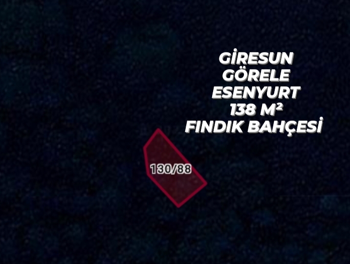  GİRESUN GÖRELE ESENYURT KÖYÜNDE 138M² FINDIK BAHÇEMİZ SATILIKTIR - GİRESUN GÖRELE fotoğraf 12