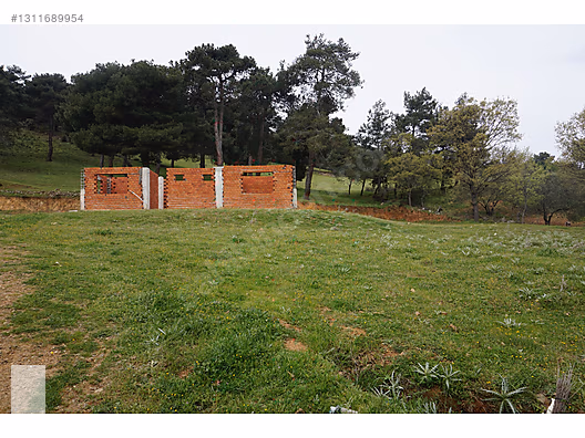 ÇANAKKALE BAYRAMİÇ DALOBA KÖYÜ 4781 m2 TARLA - ÇANAKKALE BAYRAMİÇ fotoğraf 6