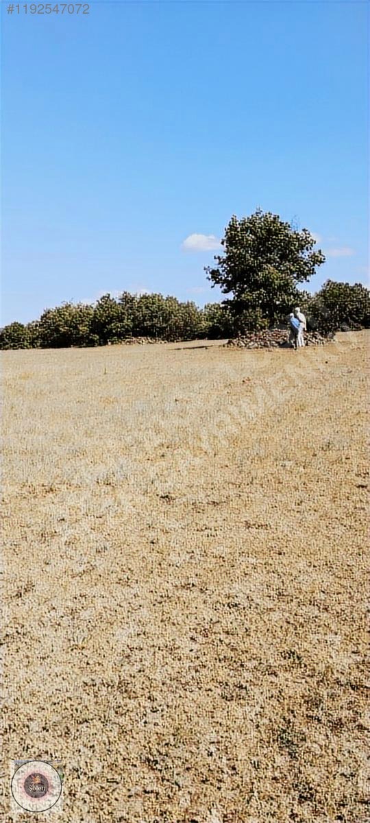 Kütahya merkez kozluca köyü nde satılık tarla - KÜTAHYA MERKEZ fotoğraf 18