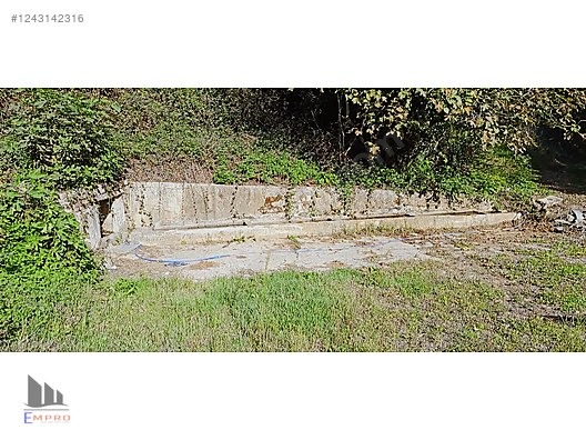 SÜPER KONUMDA KÖY İÇİ YATIRIMLIK %5 İMARLI VERİMLİ ARAZİ - SAKARYA ADAPAZARI fotoğraf 2