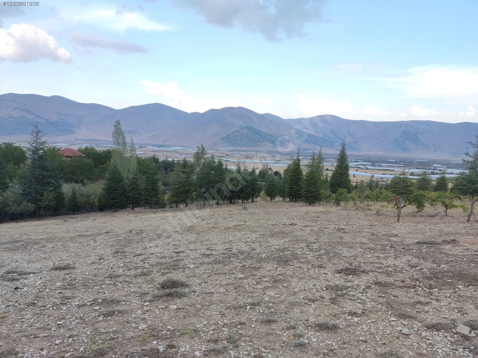 Antalya Elmalı  Çukurelma Mahallesinde 3.091 m² SATILIK TARLA  - ANTALYA ELMALI fotoğraf 7