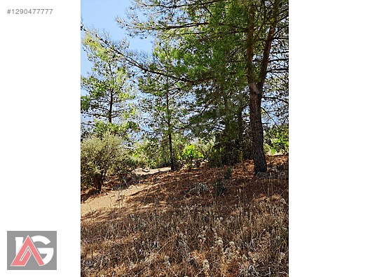 ANTALYA ADRASAN DA 715 M2 MÜSTAKİL TAPULU ARAZİ SATILIK - ANTALYA KUMLUCA fotoğraf 12
