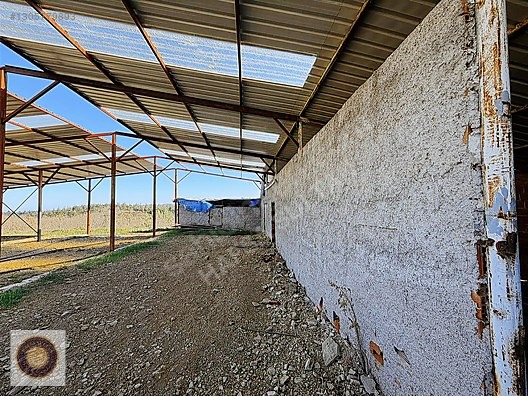 KESTEL GÖLCÜK MH SATILIK GÖL KENARI ÇİFTLİK - BURSA KESTEL fotoğraf 16