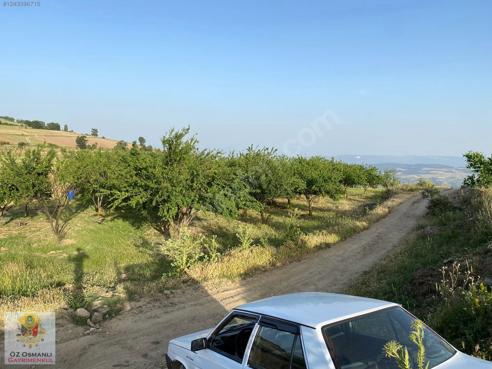 %40 İMARLI 2.5 DÖNÜM KÖY İÇİ ARAÇ TAKASLI ARSA ! - BİLECİK OSMANELİ fotoğraf 4
