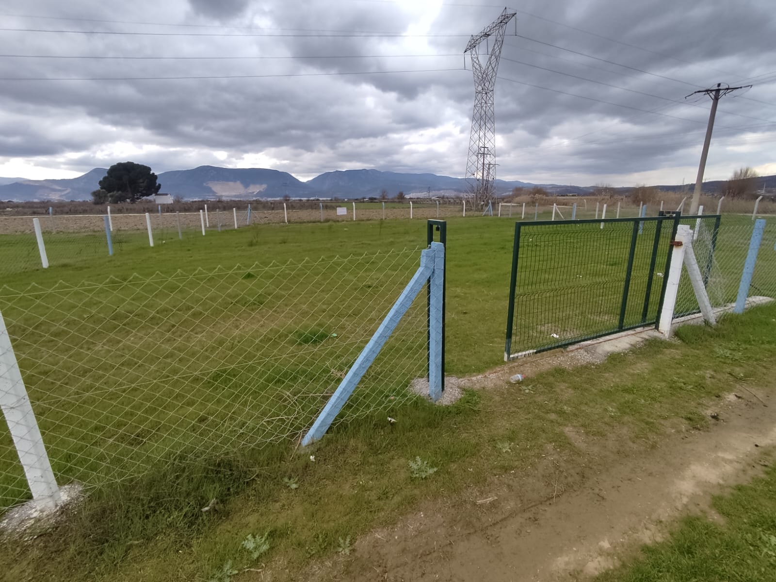 Manisa Yunusemre Yağcılar Mah. Satılık Tarla - MANİSA YUNUSEMRE fotoğraf 6