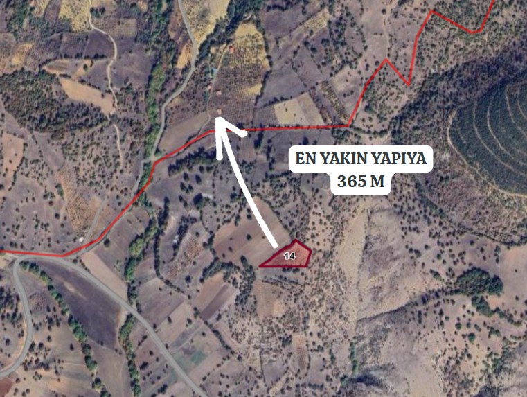 KÜTAHYA ŞAPHANE ÜÇBAŞ'DA 4.500M² KİRAZ/ VİŞNE TARLASI SATILIKTIR - KÜTAHYA ŞAPHANE fotoğraf 4