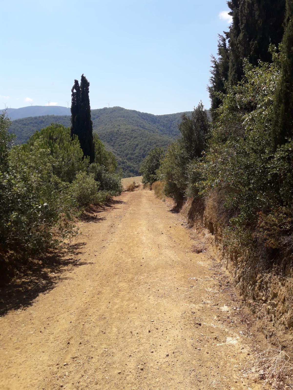 Satılık tarla - YALOVA ÇINARCIK fotoğraf 6