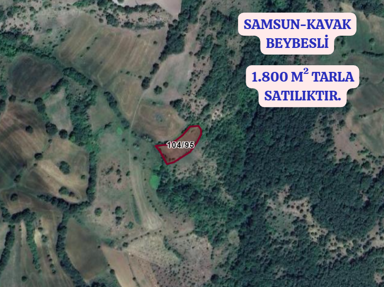 SAMSUN KAVAK BEYBESLİ   KÖYÜNDE 1.800  M² TARLA  SATILIKTIR - SAMSUN KAVAK fotoğraf 2