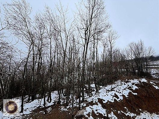 KESTEL ALÇAM MH SATILIK 300m2 EMSALSİZ - BURSA KESTEL fotoğraf 13