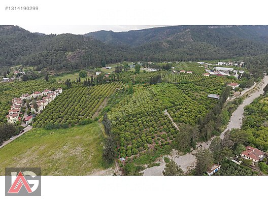 Kemer Kuzderede Yatırımlık & Verimli 15 Dönüm Narenciye Bahçesi - ANTALYA KEMER fotoğraf 19