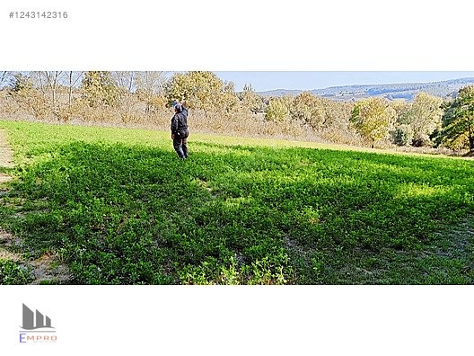 SÜPER KONUMDA KÖY İÇİ YATIRIMLIK %5 İMARLI VERİMLİ ARAZİ - SAKARYA ADAPAZARI fotoğraf 7
