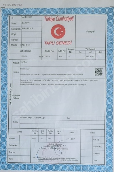 BALIKESİR BİGADİÇ DURASILAR  KÖYÜNDE 2.686 M² TARLA SATILIKTIR - BALIKESİR BİGADİÇ fotoğraf 7