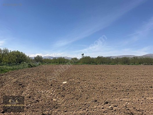 AKÇADAĞ BAHRİ İKİ AYRI TAPULU SATILIK SULU TARLA - MALATYA AKÇADAĞ fotoğraf 8