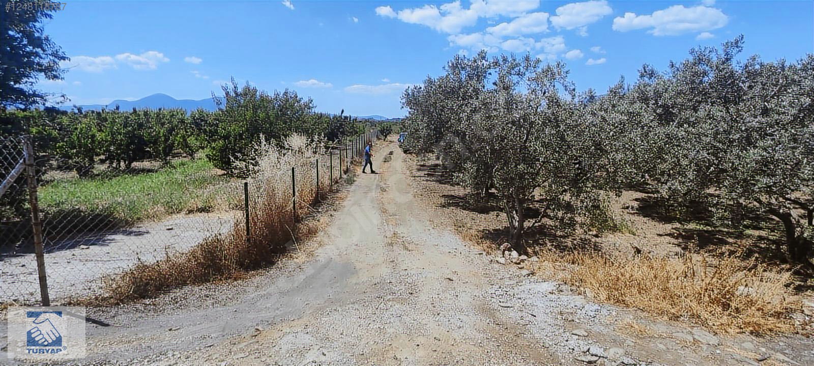 Kemalpaşa Örende 1234 M2 Satılık Müstakil Bahçe