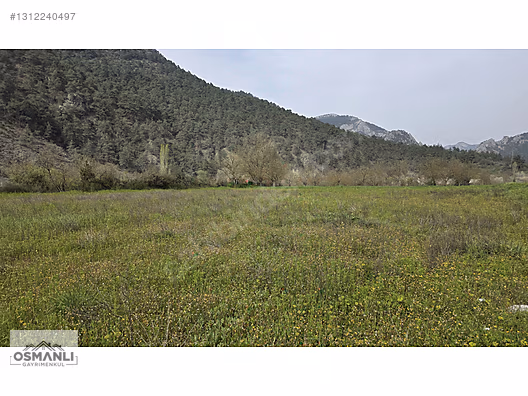 GÖKSU NEHRİ KENARINDA 2.600 M2 RESMİ YOLLU DÜZ ARAZİ- OSMANLIDAN - BİLECİK OSMANELİ fotoğraf 4
