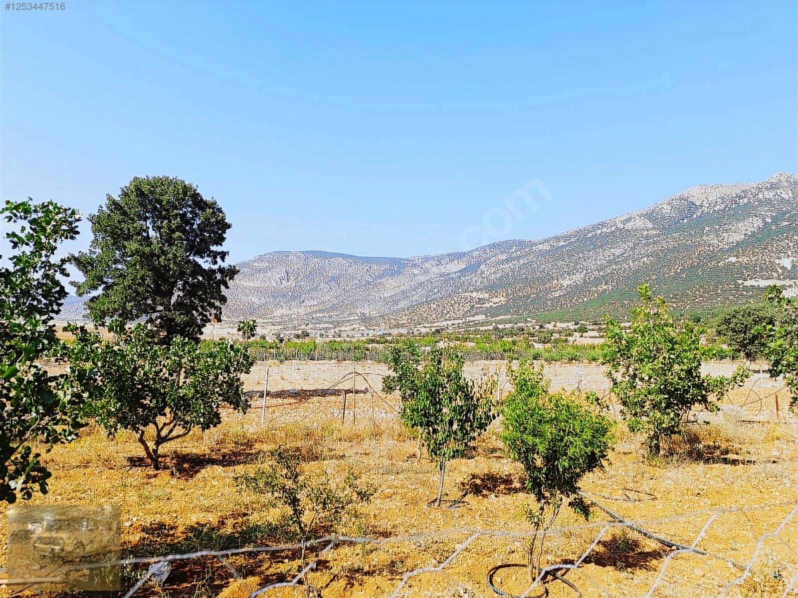 acil !korkuteli'de Yazıra komşu İmecikte 1883m mahalle yanında - ANTALYA KORKUTELİ fotoğraf 6