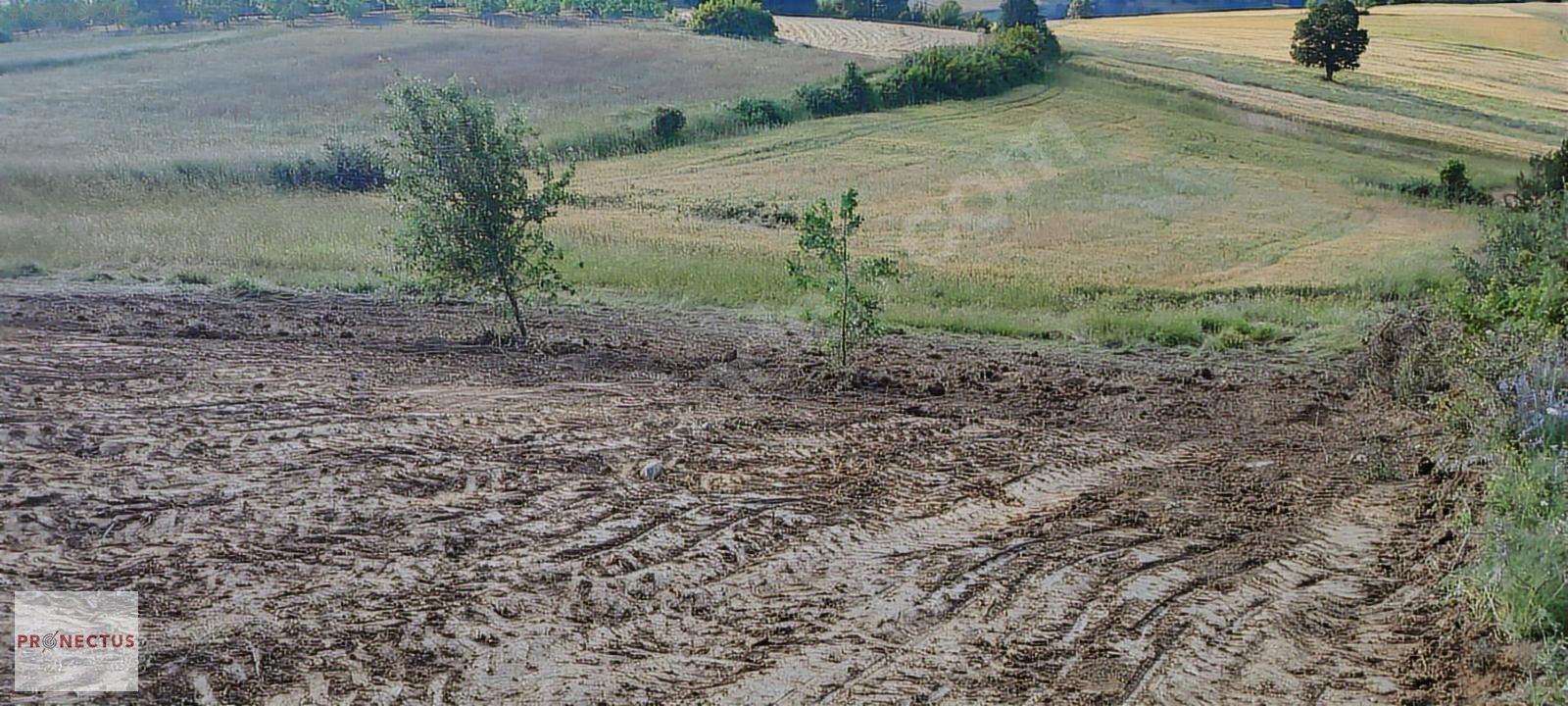 KIZDERBENT MAHALLESİNDE RESMİ YOLLU 2293 M2 SATILIK TARLA - KOCAELİ KARAMÜRSEL fotoğraf 11
