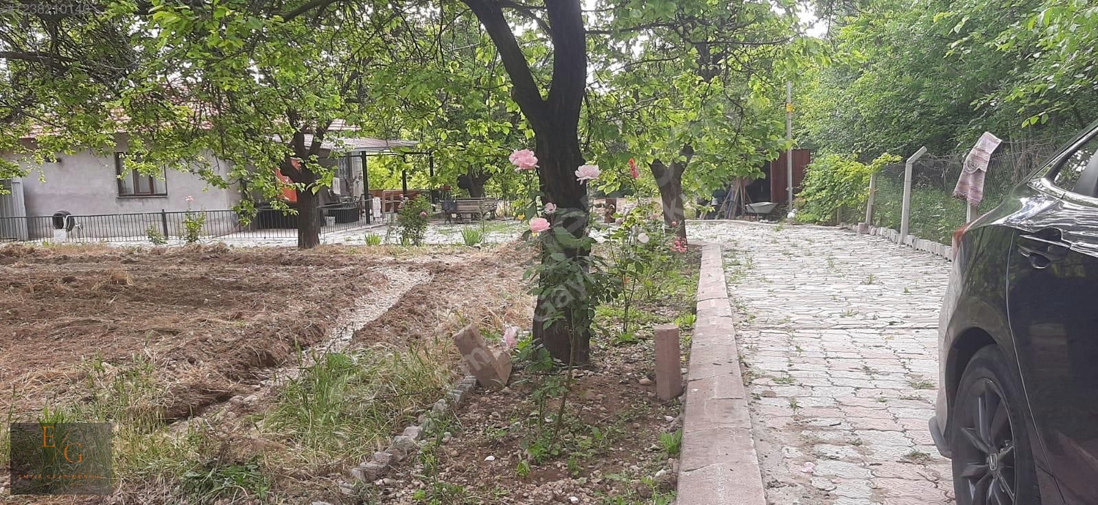 EMTİA'DAN DİLEK MERKEZ'DE SATILIK KAYSI BAHÇESİ - MALATYA YEŞİLYURT fotoğraf 17