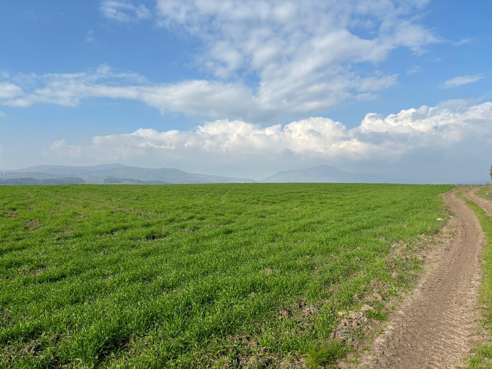 Manisa Şehzadeler Çamköy Mah. Satılık Tarla - MANİSA ŞEHZADELER fotoğraf 2