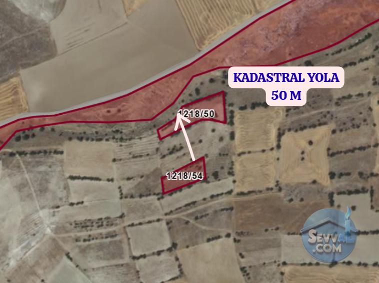 ESKİŞEHİR GÜNYÜZÜ SÜMER  KÖYÜNDE  1.450 M²   BAĞ  SATILIKTIR - ESKİŞEHİR GÜNYÜZÜ fotoğraf 3