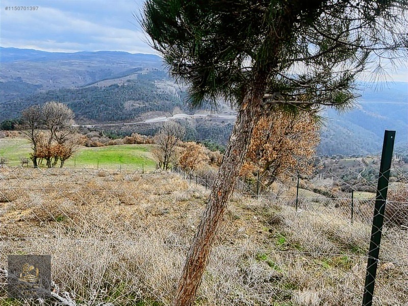 Manisa Akhisar Söğütlü Asfalt Konut İmarlı Arsa Kredi K. Geçerli - MANİSA AKHİSAR fotoğraf 4