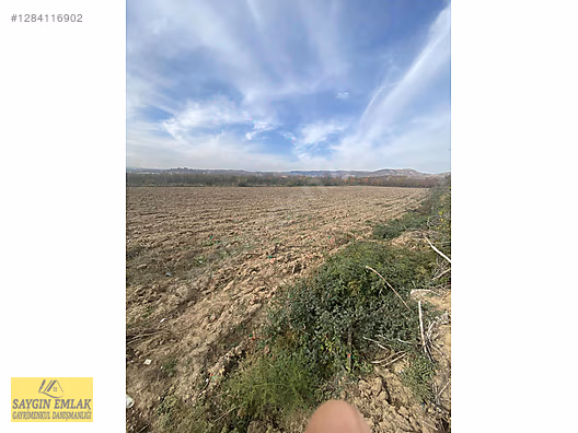 AMASYA MERKEZ DURUCA SATILIK TARLA 11.611 MK - AMASYA MERKEZ fotoğraf 8