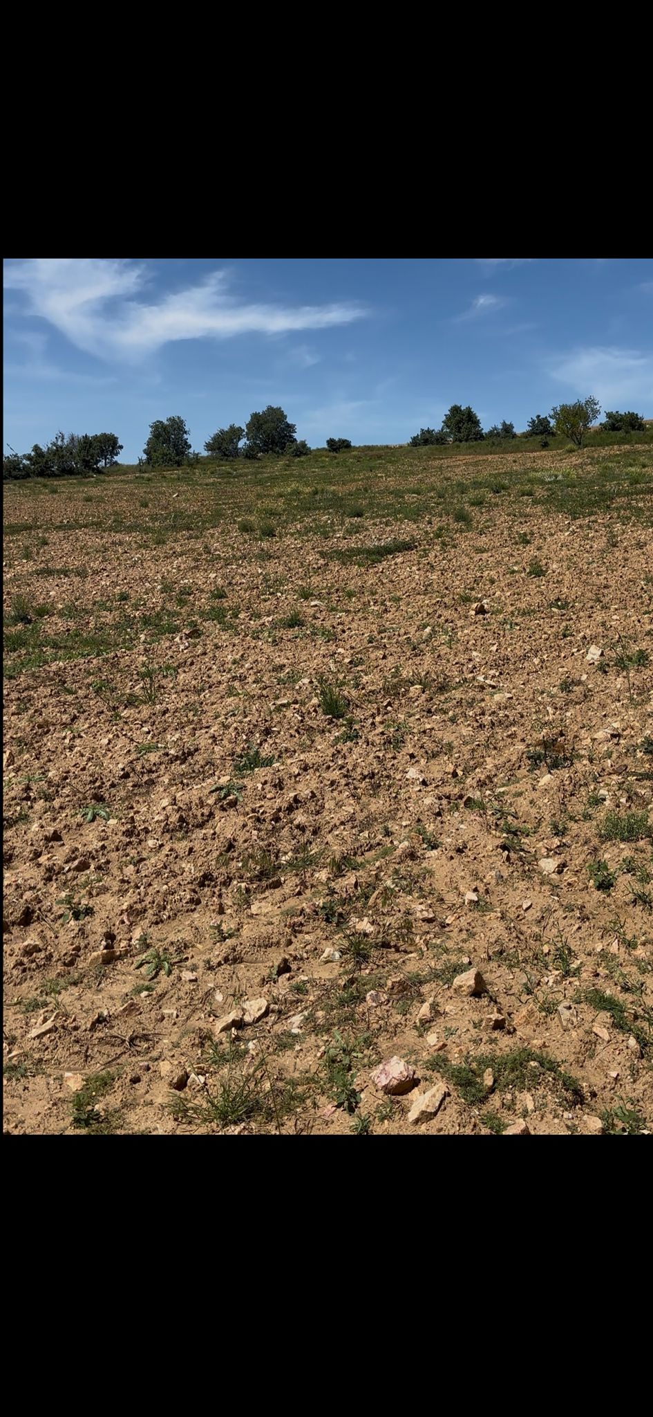 MANİSA KULA EROĞLU  KÖYÜNDE 12.351  M² TARLA  SATILIKTIR - MANİSA KULA fotoğraf 8
