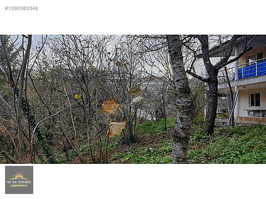 SAKARYA/SAPANCA/MEMNUNİYE MAH. SATILIK EV VE FINDIK BAHÇESİ - SAKARYA SAPANCA fotoğraf 9